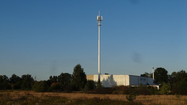 DSC00982