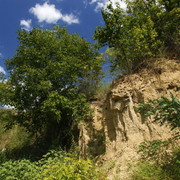 100c0100129m1