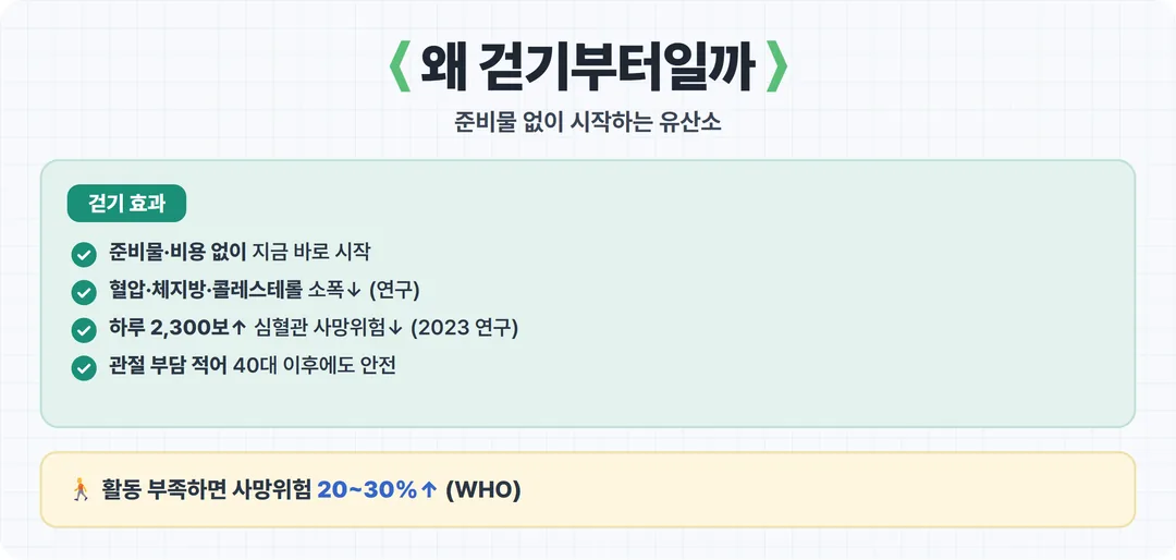 걷기 운동의 효과 카드 — 혈압 체지방 콜레스테롤 심혈관