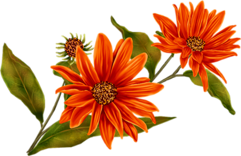89f5671d.png