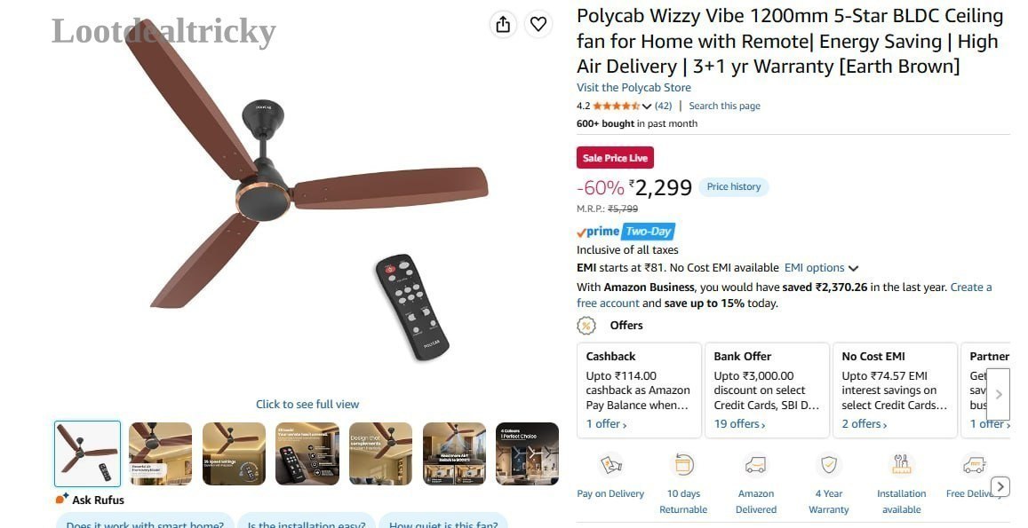 Polycab Wizzy Vibe | Loot Lo Polycab Wizzy Vibe | Loot Lo