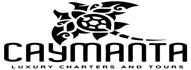 Client 2 logo