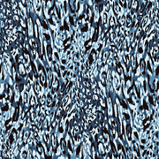 shutterstock 2550438595