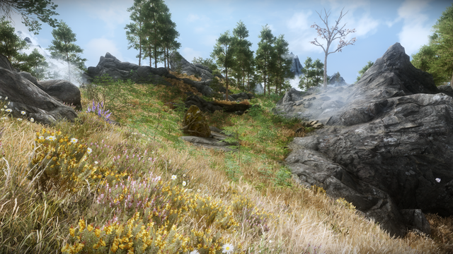 Beautiful Flora.png