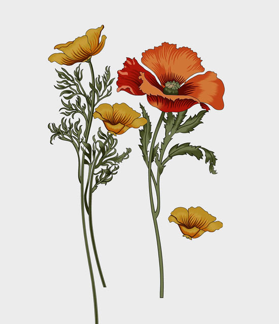 shutterstock-2344895599.jpg
