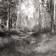 Iskra-014