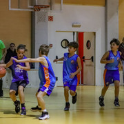 IMG-1646