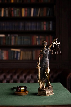 Defence-Lawyers