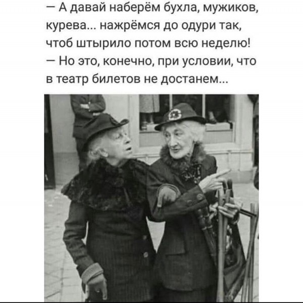 https://i.ibb.co/fMMm8Yr/image.jpg