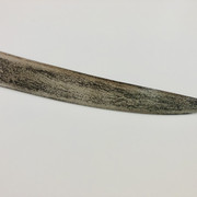 IMG-E7313