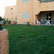IMG-20150812-181753