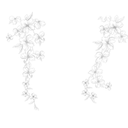Motive-53