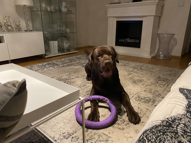 8-C5330-A9-27-FB-483-C-A27-E-1-AF7530741