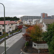IMG-20221013-114408