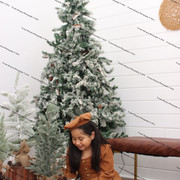 IMG-2043