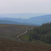 IMGP8387