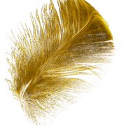 unnamed1
