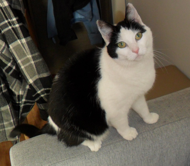 GusTax