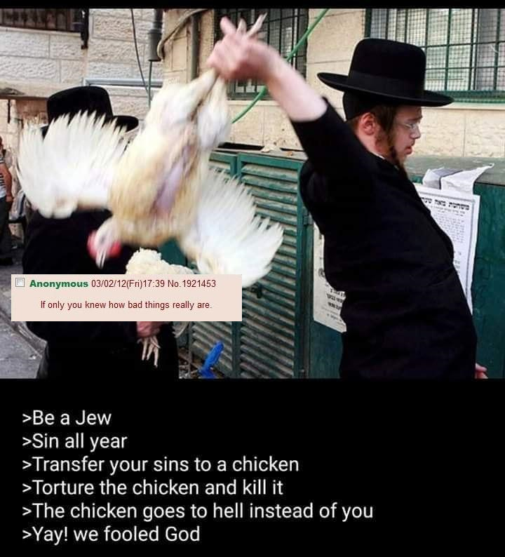 [Image: Chicken-thrower.jpg]