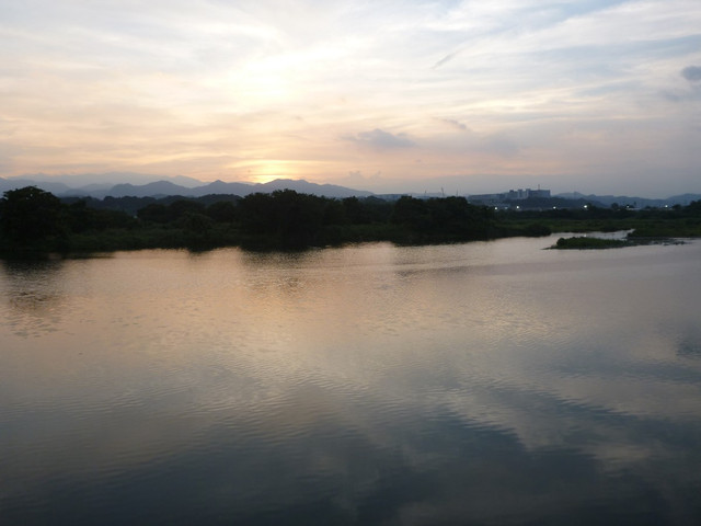 P1350195