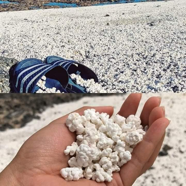 playa-palomitas