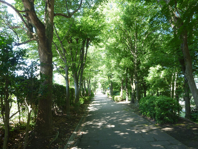 P1330449