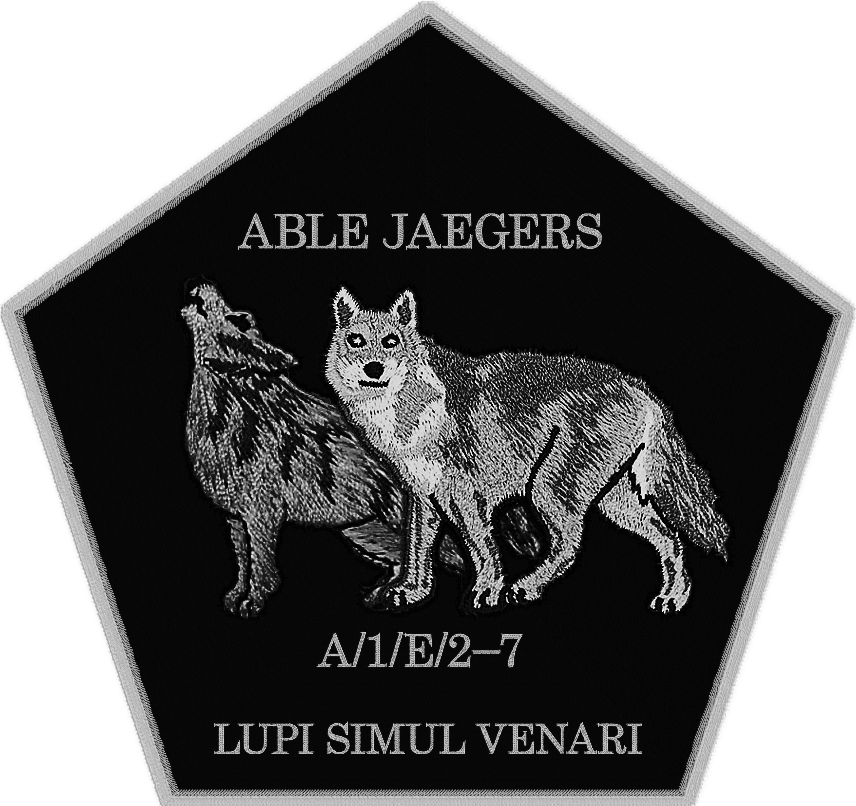 NEW-PATCH.png