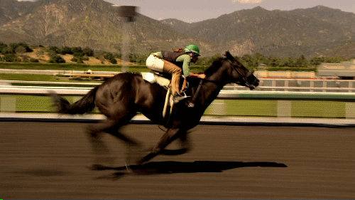 HORSE-FAST