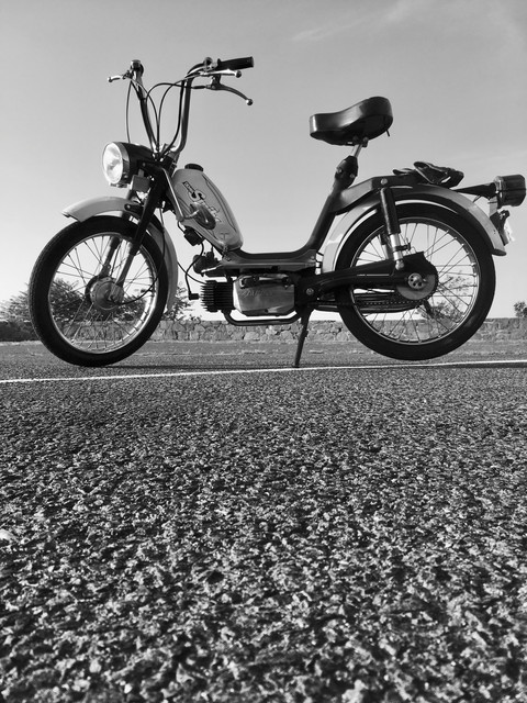 IMG-0155