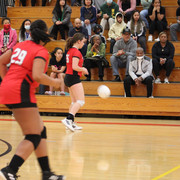 IMG-4222