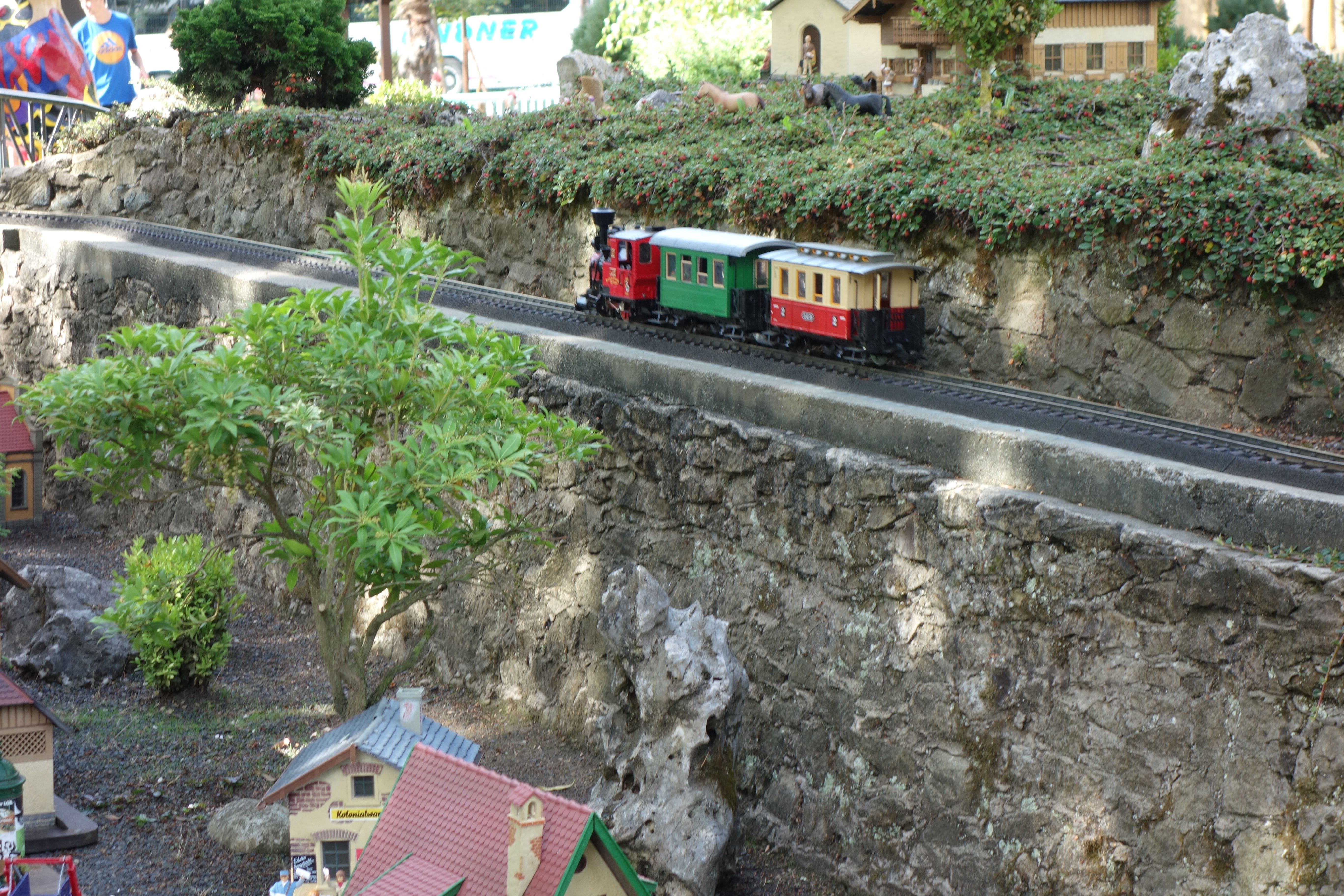 DSC02464