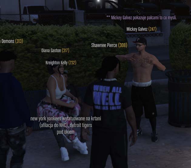 ss5.jpg