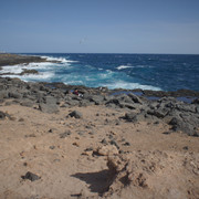DSC00986