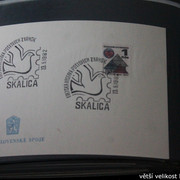 IMG-2417
