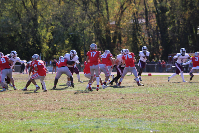 IMG-1128.jpg