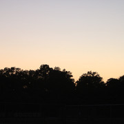 IMG-4667