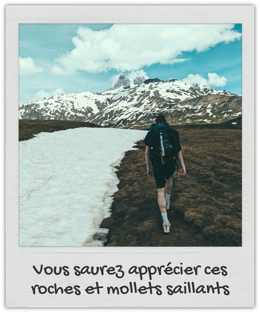 Fichier-175.png