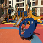 IMG 0456