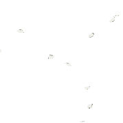 20200330-012