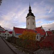 OLYMPUS-DIGITAL-CAMERA