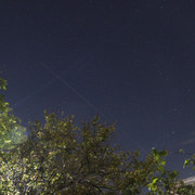 1c00291m