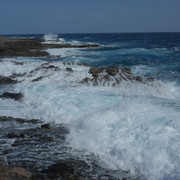 DSCF8207