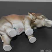 IMG-9194