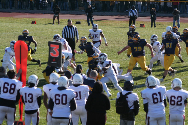 IMG-2730.jpg