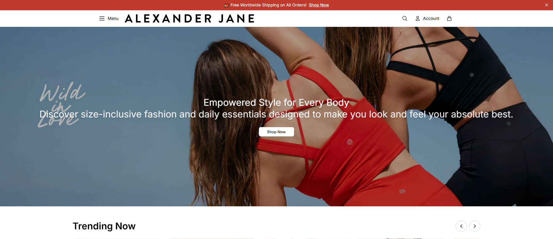 Stored capture of alexanderjanestyle.shop
