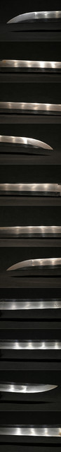 DSC0566.jpg