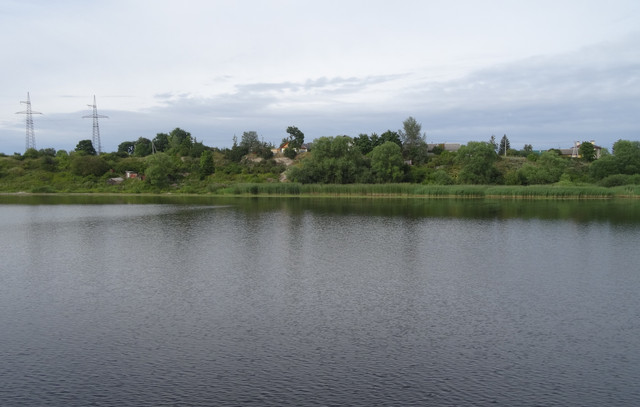 DSC06420-5.jpg