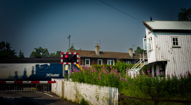 L1461434.jpg