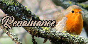 renaissance-31.png