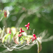 L1005333